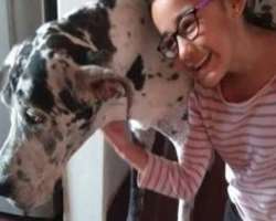 Her love for animals could be seen with different Instagram posts she shares with her followers.